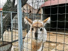 -意大利农场度假村