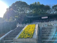 -苏州上方山国家森林公园