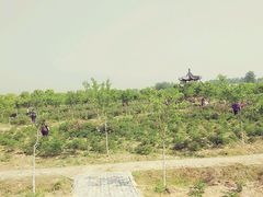 -红山体育乐园