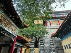 -千佛山风景名胜区