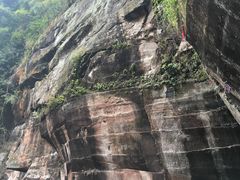 -川西竹海景区