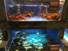 水产区-徐记海鲜(陕西历史博物馆|明德门店)