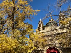 -北京石刻艺术博物馆(五塔寺)