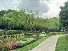 -上海鲜花港
