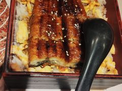 蒲烧鳗鱼饭-羽寿司(东方宝泰店)