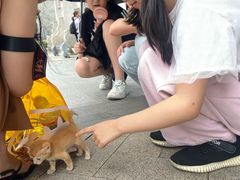 -黄埔古港