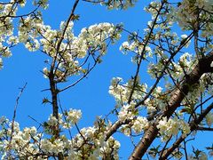 -杭州师范大学(下沙校区)