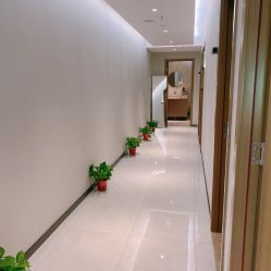 -阅年轻·AI家庭健康体质调理