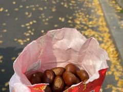 -阿男野栗王(金门路店)