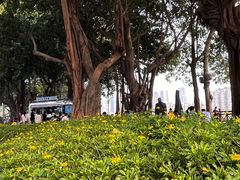 -海心沙亚运公园