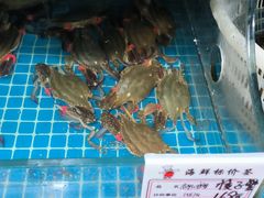 -宾朋海鲜特色美食餐厅·纯手工鲅鱼水饺(兴海路店)