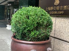 -Yan Ting 宴庭中餐厅(上海静安瑞吉酒店)
