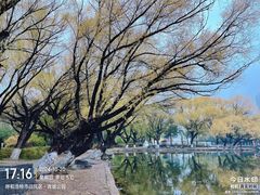 -青城公园