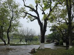 -江心屿景区