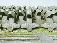-上海滨江森林公园