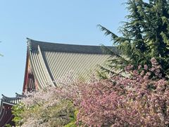 -浅草寺