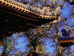 -杭州上天竺法喜讲寺