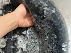 -竹之月日本料理铁板烧(香江花园店)