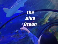 -沈阳海洋探索中心