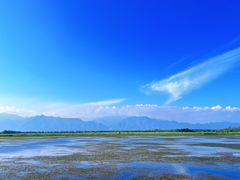 -野鸭湖国家湿地公园