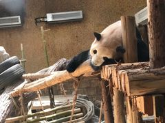 -常州淹城野生动物世界