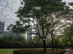 -陆家嘴中心绿地