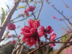 -西湖公园(鼓楼区)