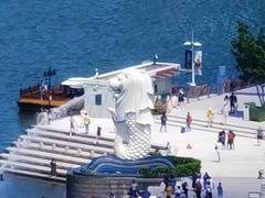 -新加坡瑞士史丹福酒店