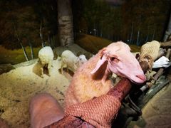 -正佳雨林生态植物园