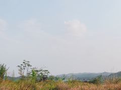 -仙海旅游度假区