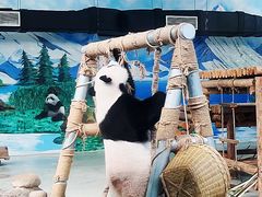 -柳州市动物园