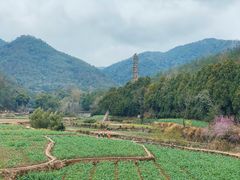 -天台山景区