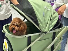-丽达购物中心(崂山店)