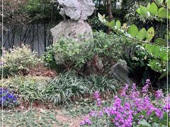 -上海醉白池公园