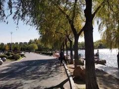 -丁香湖公园