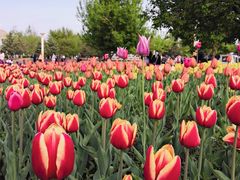 -长春公园(普阳街道)