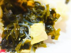 海藻豆腐包-大邱大包