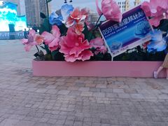 -闽江夜游台江旅游码头