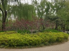 -玲珑塔公园
