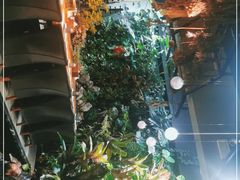 -森味薪火烧•烧鸟居酒屋•日本料理(望京店)