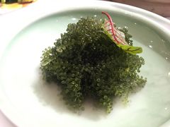 -荟廷·晶萃(陆家嘴尚悦湾店)