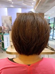 点击看大图 -PE SALON