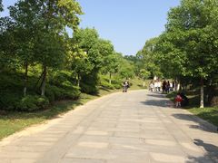 -八大山人梅湖景区