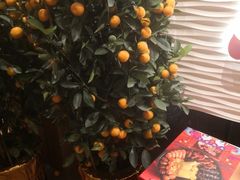 -海逸海鲜酒家(古北店)