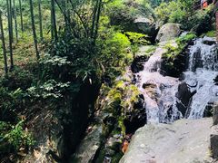 -藏龙百瀑风景区