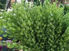 -小海豚国际游泳培训中心(浦东塘桥店)