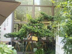-扫雪煮茶(西村店)