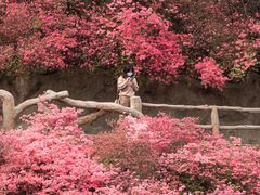 -木兰云雾山