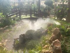 -石家庄市植物园