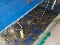 -阳澄湖大闸蟹·琼灵阁牌品牌连锁(吴中总店)